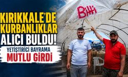 Kurbanlıklar alıcı buldu, yetiştirici bayrama mutlu girdi: "Dedikleri fiyata verdik, milleti kurbansız göndermedik"