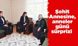 Şehit Annesine, anneler günü sürprizi