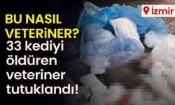 Bu nasıl veteriner? 33 kediyi öldüren veteriner tutuklandı!
