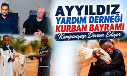 Ayyıldız Yardım Derneği Kurban Bayramı kampanyası devam ediyor