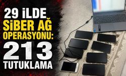 29 ilde siber ağ operasyonu: 213 tutuklama