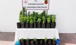 2 bin 802 kök kenevir ele geçirildi