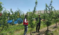 Dolu ve sağanak tarım arazilerine zarar verdi