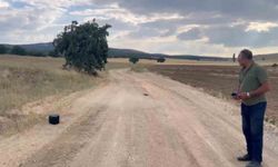Kaybolan gebe inek dron ile aranıyor