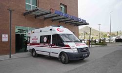 Otomobil ile kamyonet çarpıştı: 7 Yaralı