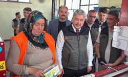 Yangın bölgelerine gönderilen milyonlarca fidan 'nefes' olacak
