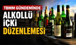 TBMM Gündeminde Alkollü İçki Düzenlemesi