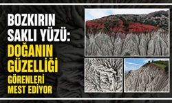 Bozkırın saklı yüzü: Doğanın güzelliği görenleri mest ediyor