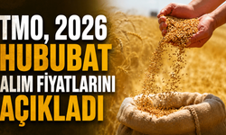 TMO, 2026 Hububat Alım Fiyatlarını Açıkladı