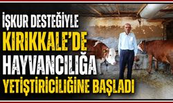 İŞKUR desteğiyle Kırıkkale’de hayvancılığa yetiştiriciliğine başladı