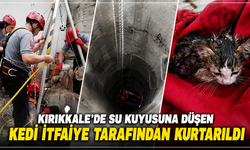Kırıkkale'de su kuyusuna düşen kedi itfaiye tarafından kurtarıldı