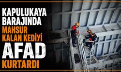 Kapulukaya Barajında mahsur kalan kediyi AFAD kurtardı