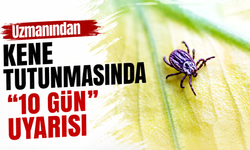 Uzmanından kene tutunmasında '10 gün' uyarısı