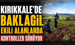 Kırıkkale’de baklagil ekili alanlarda kontroller sürüyor