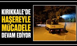 Kırıkkale’de haşereyle mücadele devam ediyor