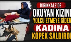 Kırıkkale’de okuyan kızını yolcu etmeye giden kadına köpek saldırdı