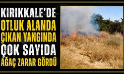 Kırıkkale’de otluk alanda çıkan yangında çok sayıda ağaç zarar gördü