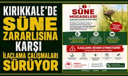 Kırıkkale'de süne zararlısına karşı ilaçlama çalışmaları sürüyor