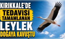 Kırıkkale’de tedavisi tamamlanan Leylek doğaya kavuştu