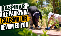 Başpınar Aile Parkı'nda çalışmalar devam ediyor