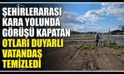 Şehirlerarası kara yolunda görüşü kapatan otları duyarlı vatandaş temizledi