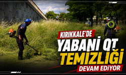 Kırıkkale’de yabani ot temizliği devam ediyor