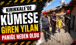 Kırıkkale’de kümese giren yılan paniğe neden oldu