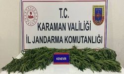 Aranan 41 şahıstan 7'si tutuklandı