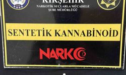 Narkotik operasyonunda 2 şüpheli tutuklandı