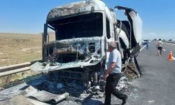Seyir halindeki sebze yüklü tır yandı