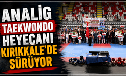 ANALİG Taekwondo heyecanı Kırıkkale'de sürüyor
