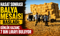 Hasat sonrası balya mesaisi başladı: Günlük kazanç 7 bin lirayı buluyor