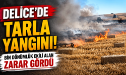 Delice’de tarla yangını! Bin dönümlük ekili alan zarar gördü