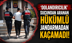 'Dolandırıcılık' suçundan aranan hükümlü jandarmadan kaçamadı