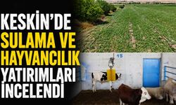 Keskin'de sulama ve hayvancılık yatırımları incelendi