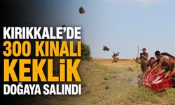 Kırıkkale'de 300 Kınalı Keklik doğaya salındı
