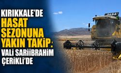 Kırıkkale'de hasat sezonuna yakın takip: Vali Sarıibrahim Çerikli'de