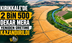 Kırıkkale'de 2 bin 500 dekar mera yeniden üretime kazandırıldı