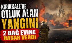 Kırıkkale'de otluk alan yangını 2 bağ evine hasar verdi