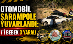 Otomobil şarampole yuvarlandı: 1'i bebek 3 yaralı