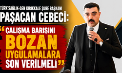 Türk Sağlık-Sen Kırıkkale Şube Başkanı Paşacan Cebeci: “Çalışma barışını bozan uygulamalara son verilmeli”