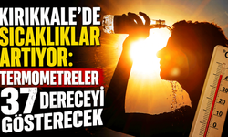 Kırıkkale'de sıcaklıklar artıyor: Termometreler 37 dereceyi gösterecek