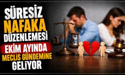 Süresiz nafaka düzenlemesi ekim ayında Meclis gündemine geliyor