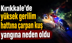 Kırıkkale'de yüksek gerilim hattına çarpan kuş yangına neden oldu