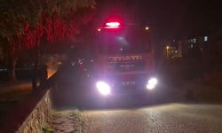 Bir parkta kasten çıkarılan yangın ekipleri teyakkuza geçirdi