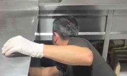 Eğlence mekanlarına yönelik operasyonda mutfak tezgahının altına saklanan kadın dikkat çekti
