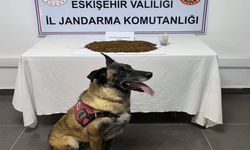 Jandarma ekiplerinden uyuşturucu operasyonu, 361 gram bonzai ele geçirildi