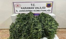 Jandarmanın yakaladığı 44 şahıstan 9'u tutuklandı