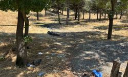 Kadın cinayetinin alacak-verecek meselesi nedeniyle işlendiği iddiası