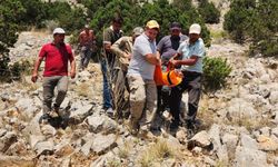 Kayalıklardan düşen avcı yaralandı